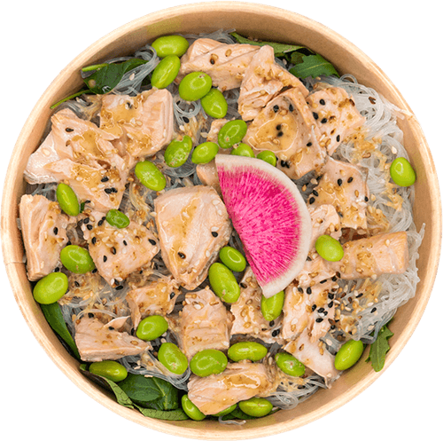 SALMON NOODLES